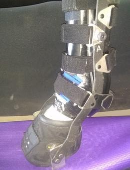 Equine orthopedic leg support